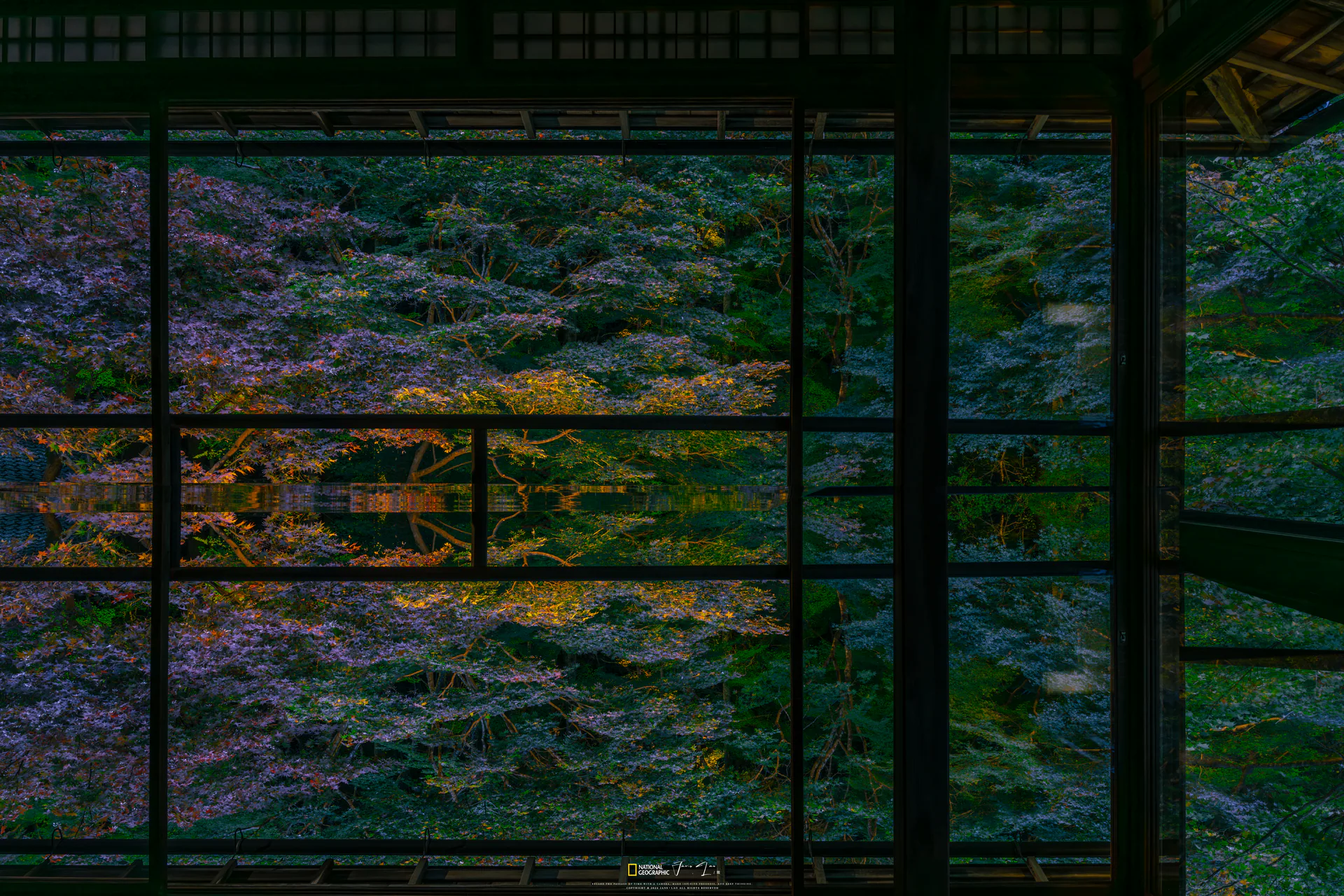 City, C.052