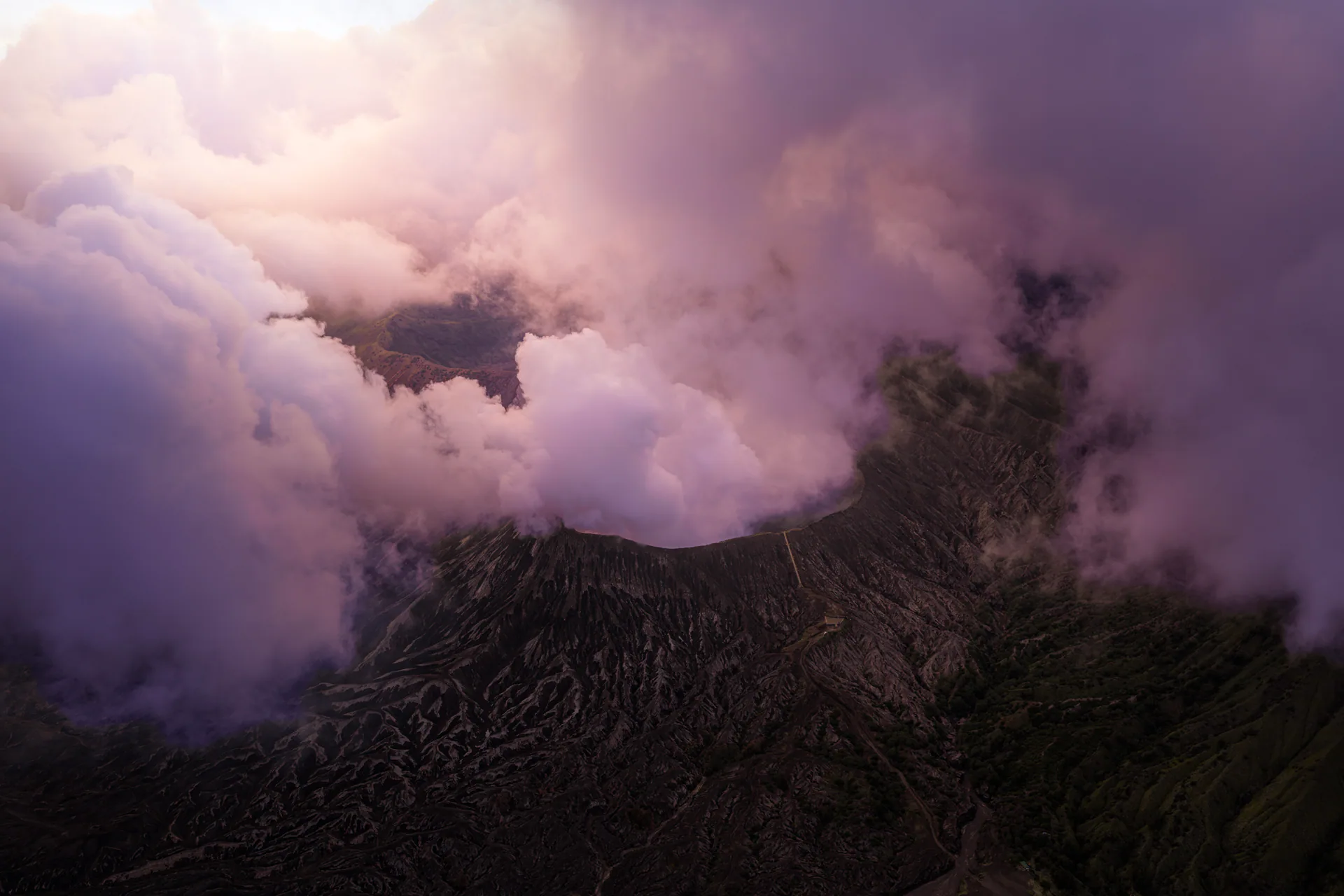 Nature, N.083