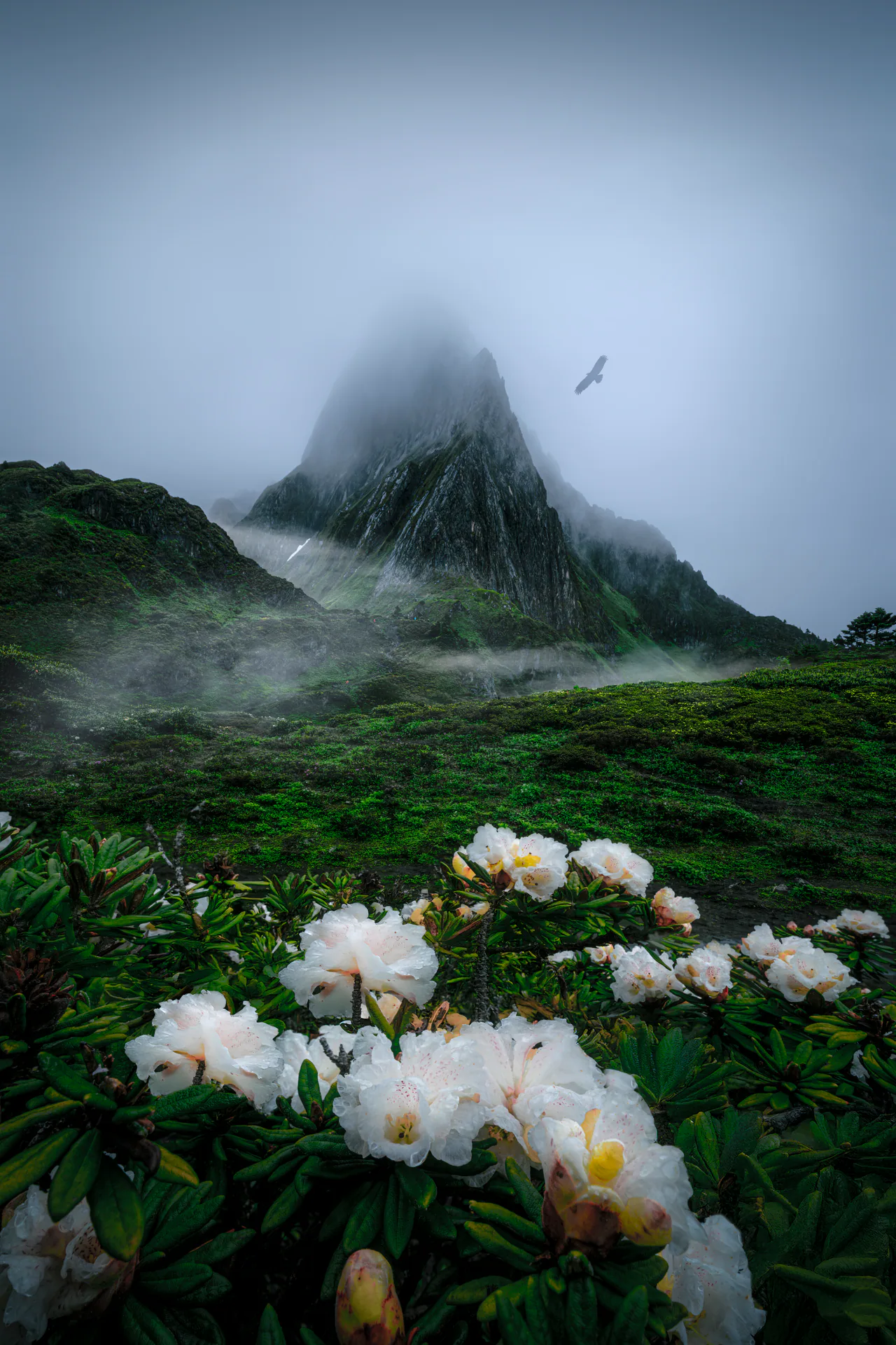 Nature, N.002
