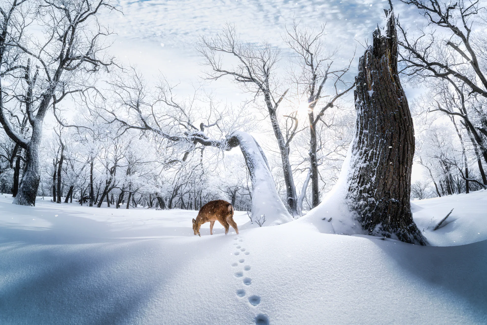 Nature, N.042