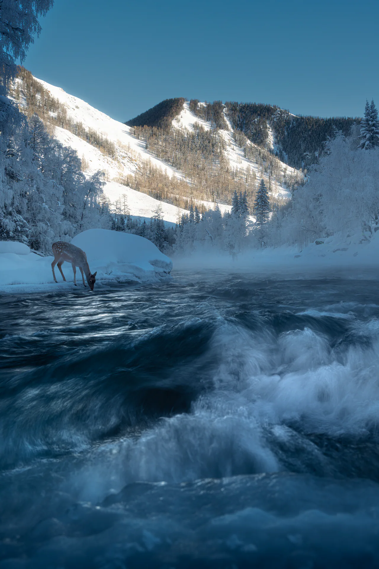 Nature, N.067