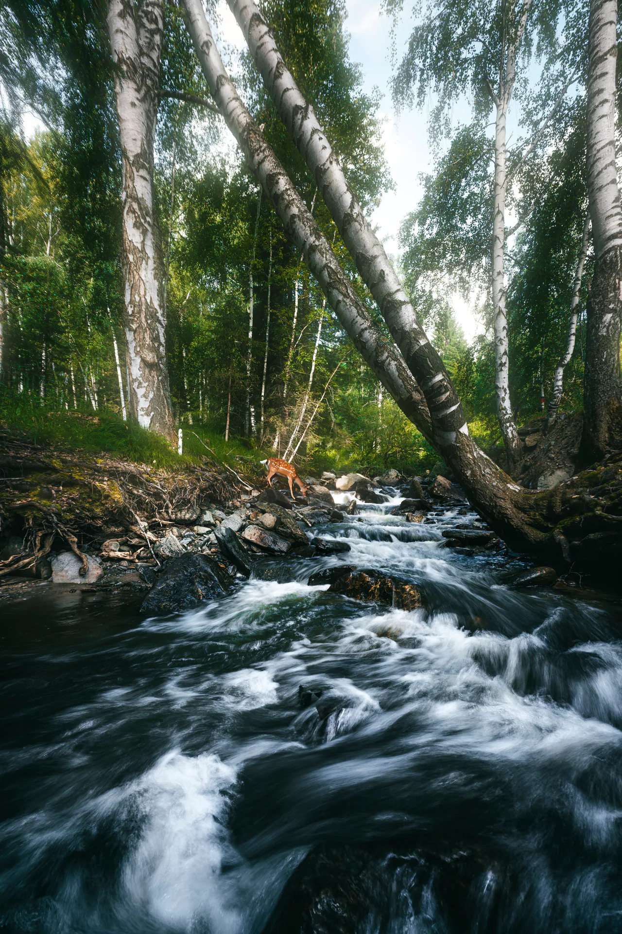 Nature, N.051
